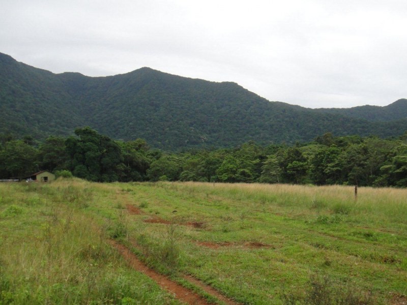 LOT 2 Cape Tribulation Road, Cape Tribulation QLD 4873