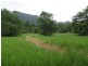 LOT 2 Cape Tribulation Road, Cape Tribulation QLD 4873