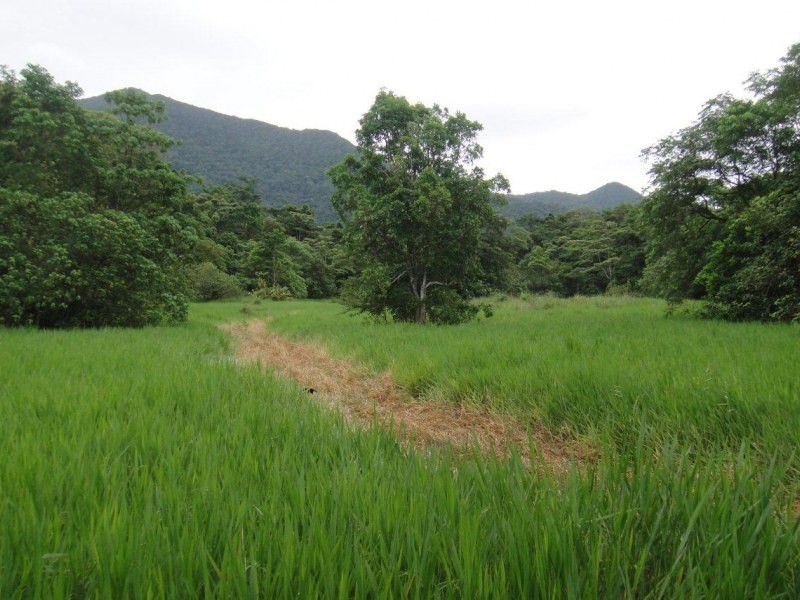 LOT 2 Cape Tribulation Road, Cape Tribulation QLD 4873