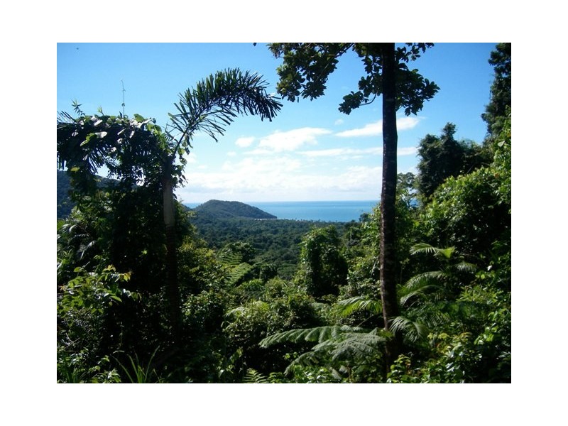 LOT 2 Cape Tribulation Road, Cape Tribulation QLD 4873