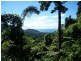 2 Cape Tribulation Road, Port Douglas QLD 4877