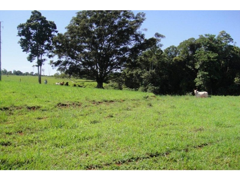 Lloyd Road, Tinaroo QLD 4872