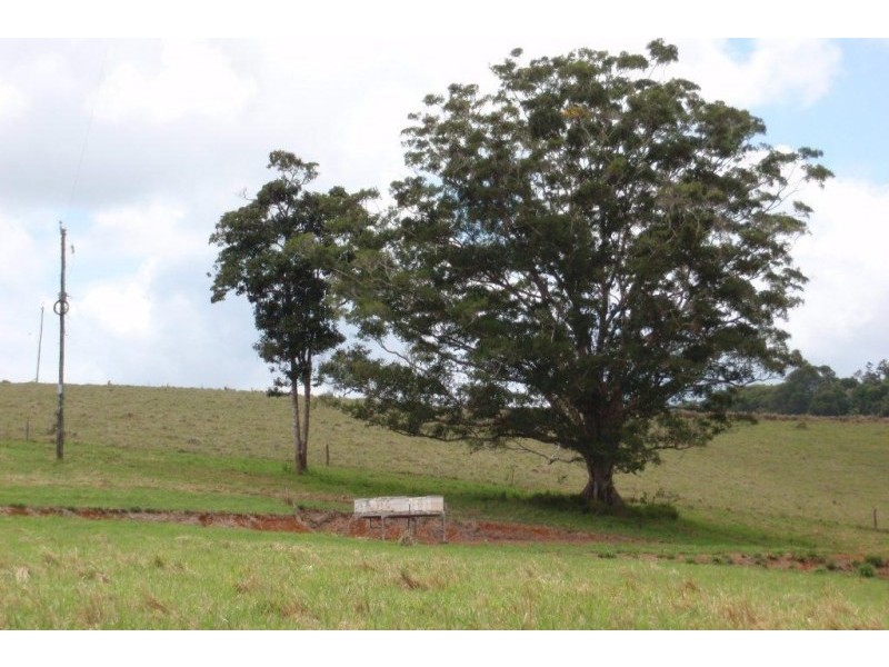 Lloyd Road, Tinaroo QLD 4872