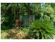 Unit 9/31 Murphy Street, Port Douglas QLD 4877