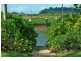 Lot 169,  HARBOUR Drive, Trinity Park QLD 4879