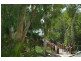 Unit 230/231/5 Triton Street, Palm Cove QLD 4879