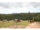 18 Kluck Road, Tinaroo QLD 4872