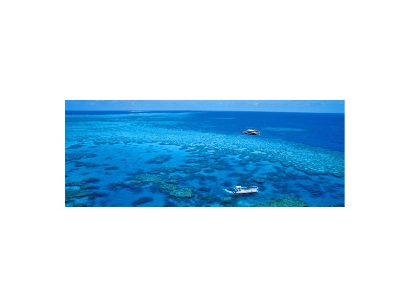 452 Port Douglas Road, Port Douglas QLD 4877