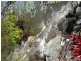 1 Downing Street, Port Douglas QLD 4877