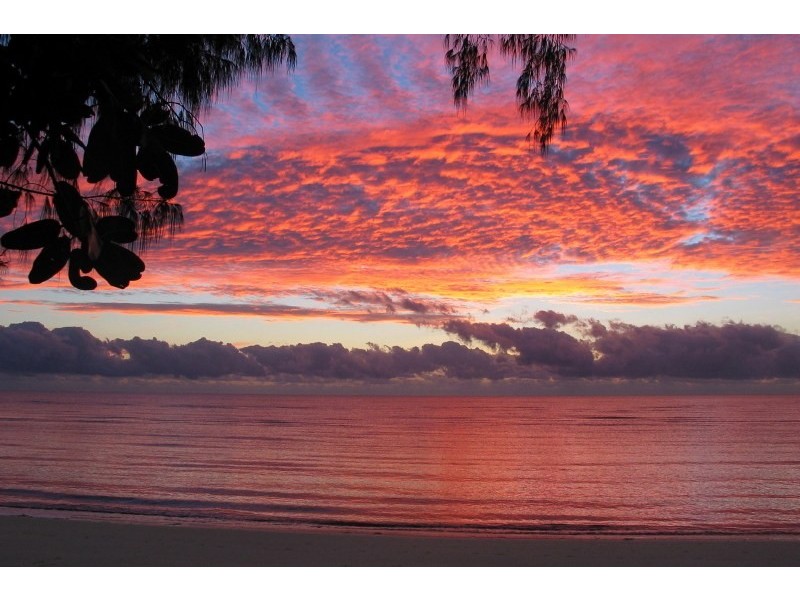 Unit 1/55 Davidson Street, Port Douglas QLD 4877