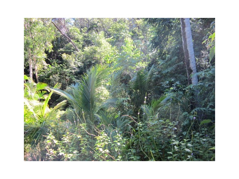 1/123 Murphy Street, Port Douglas QLD 4877