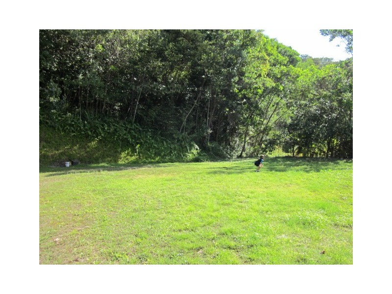 1293 Mossman Daintree Road, Rocky Point QLD 4874