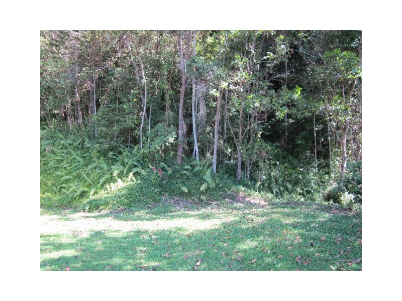 1293 Mossman Daintree Road, Rocky Point QLD 4874