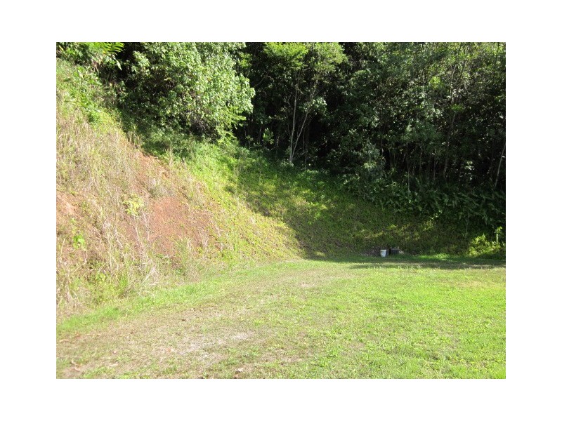 1293 Mossman Daintree Road, Rocky Point QLD 4874