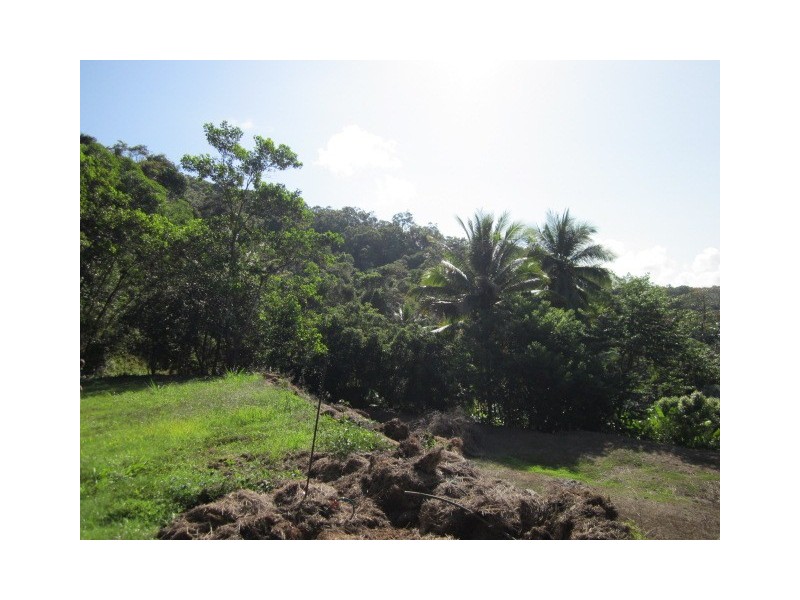 1293 Mossman Daintree Road, Rocky Point QLD 4874