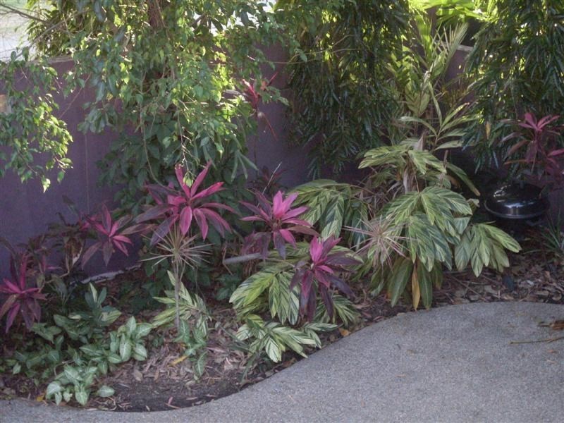 Unit 1/340 Port Douglas Road, Port Douglas QLD 4877