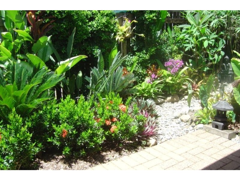 Unit 8/65 Garrick Street, Port Douglas QLD 4877