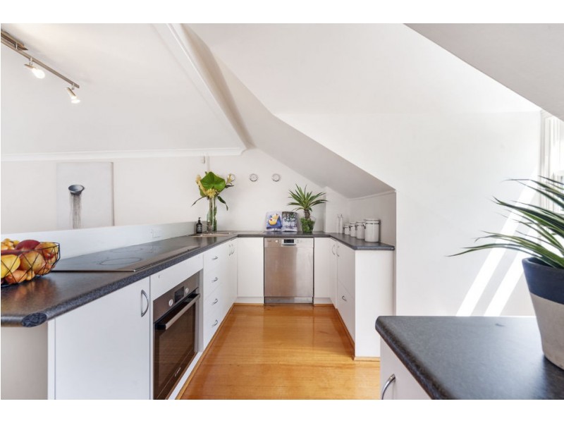 16 Harris Street, Balmain NSW 2041