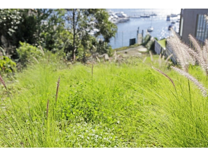 5 Tilba Avenue, Balmain NSW 2041