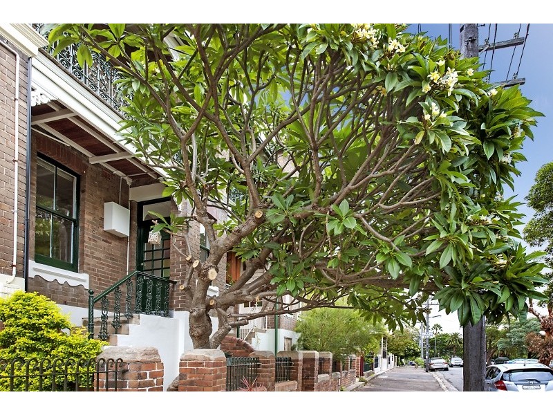 8 Fitzroy Avenue, Balmain NSW 2041