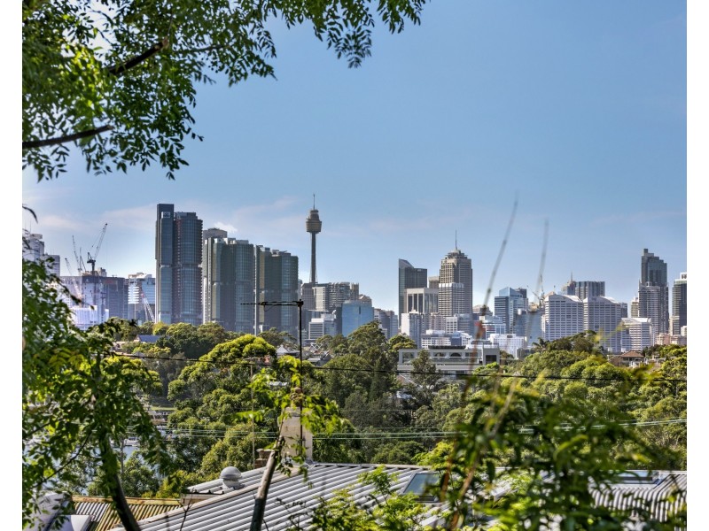 169 Rowntree Street, Birchgrove NSW 2041