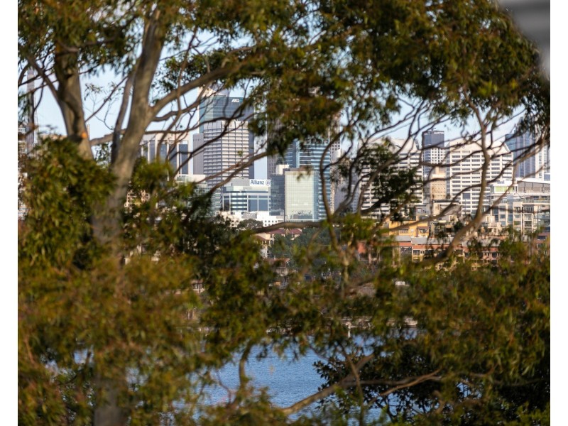 45 Donnelly Street, Balmain NSW 2041