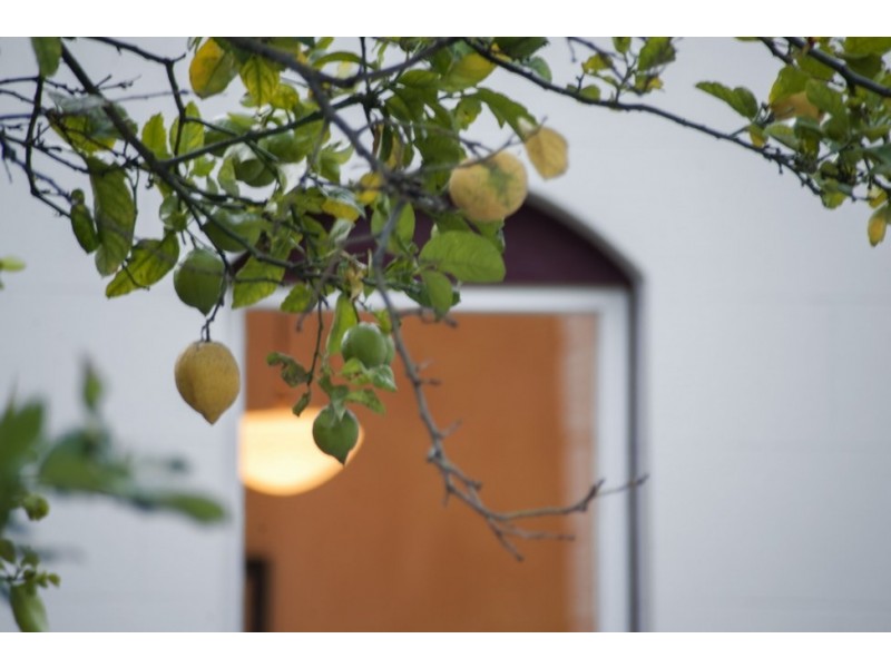 2 Church Street, Ashfield NSW 2131