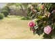 20 May Street, Lilyfield NSW 2040