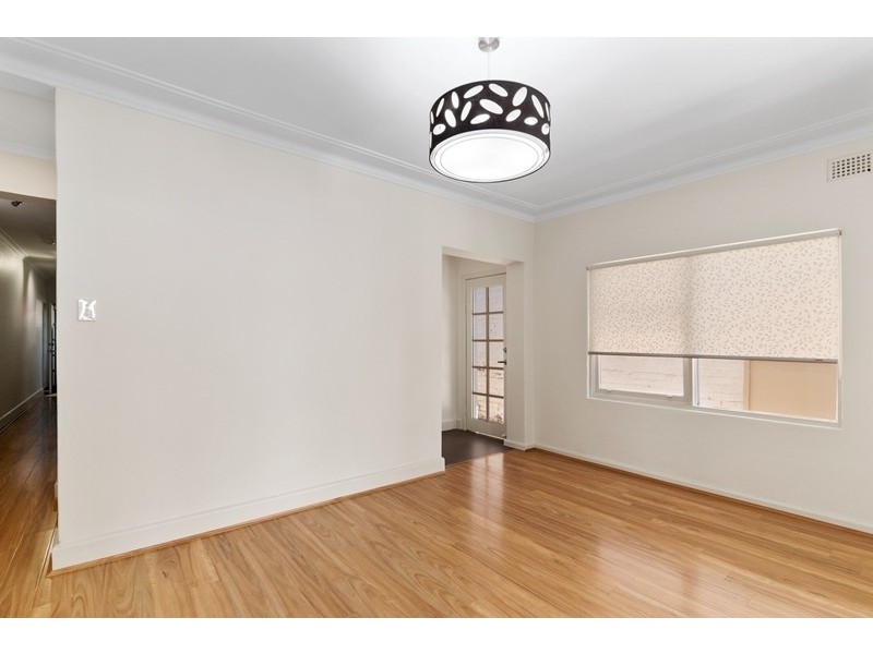 3a Trafalgar Street, Annandale NSW 2038