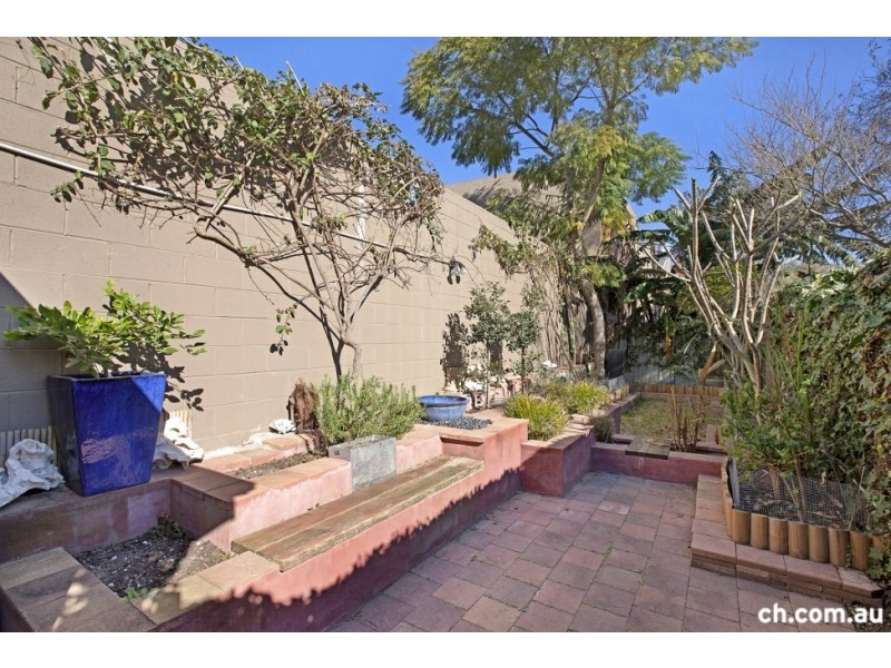 6 Wise Street, Rozelle NSW 2039