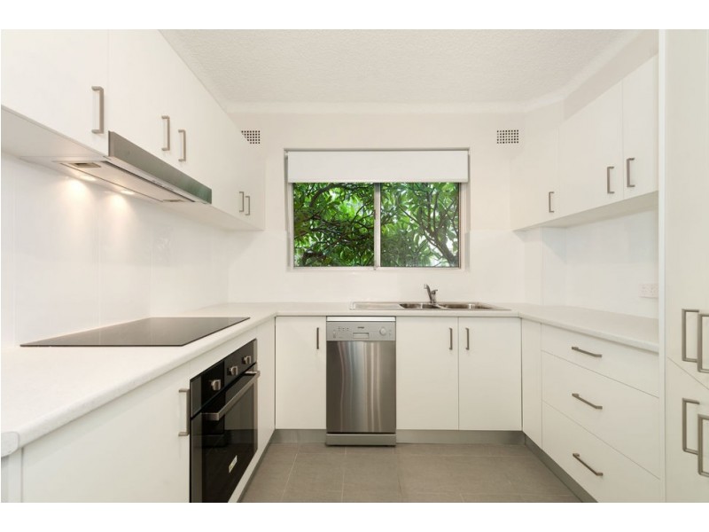 1/33 Trouton Street, Balmain NSW 2041