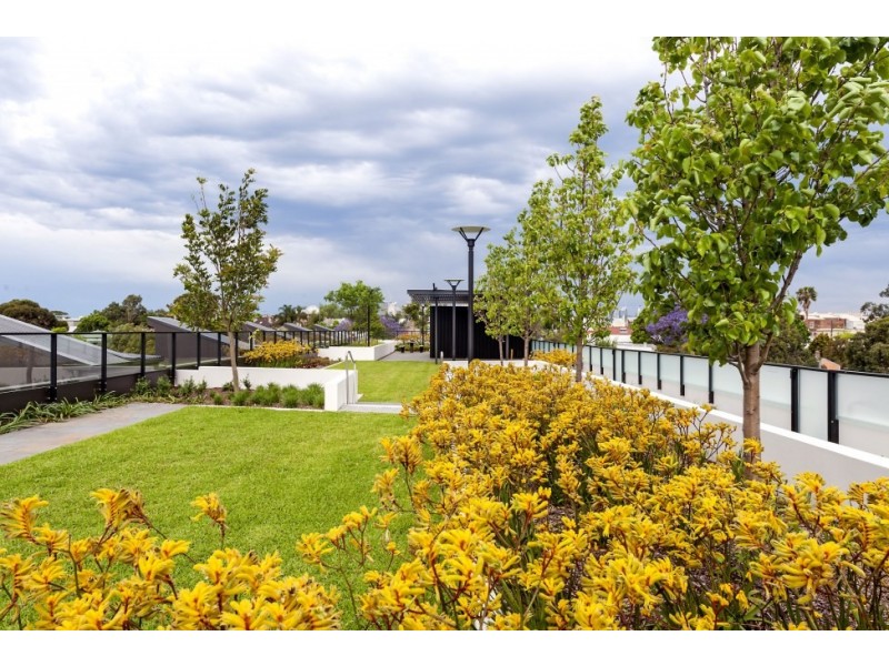 A215/120 Terry Street, Rozelle NSW 2039