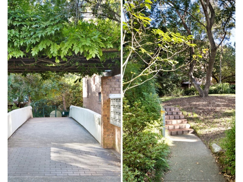 29/215 Bridge Road, Glebe NSW 2037