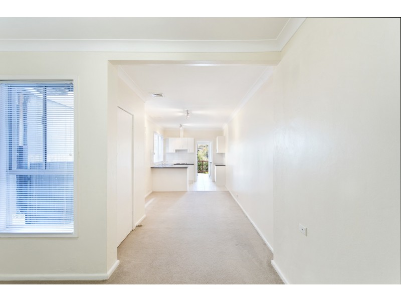 44A Rosser Street, Rozelle NSW 2039