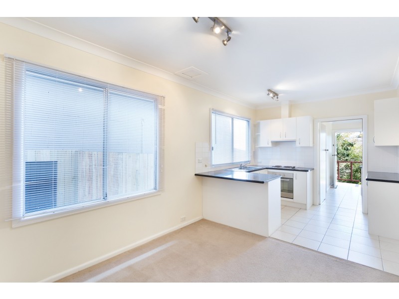 44A Rosser Street, Rozelle NSW 2039