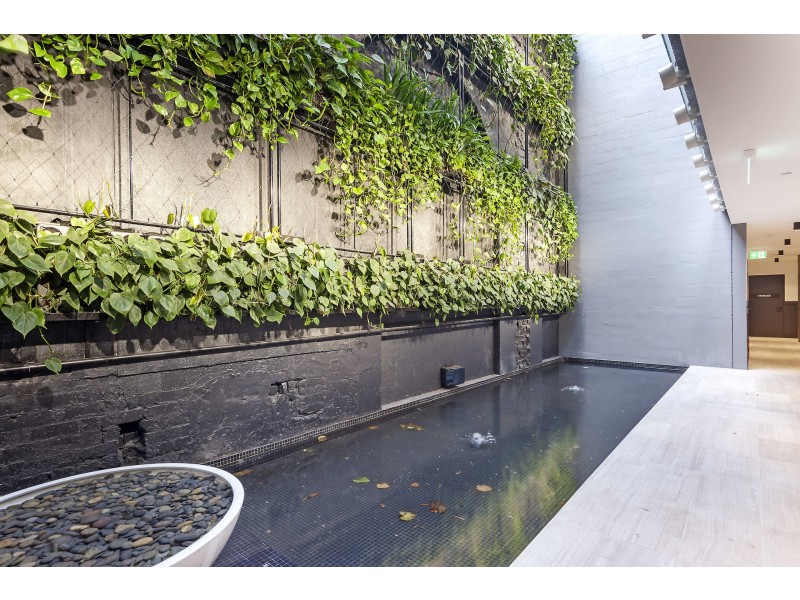 206/2A Rowntree Street, Balmain NSW 2041