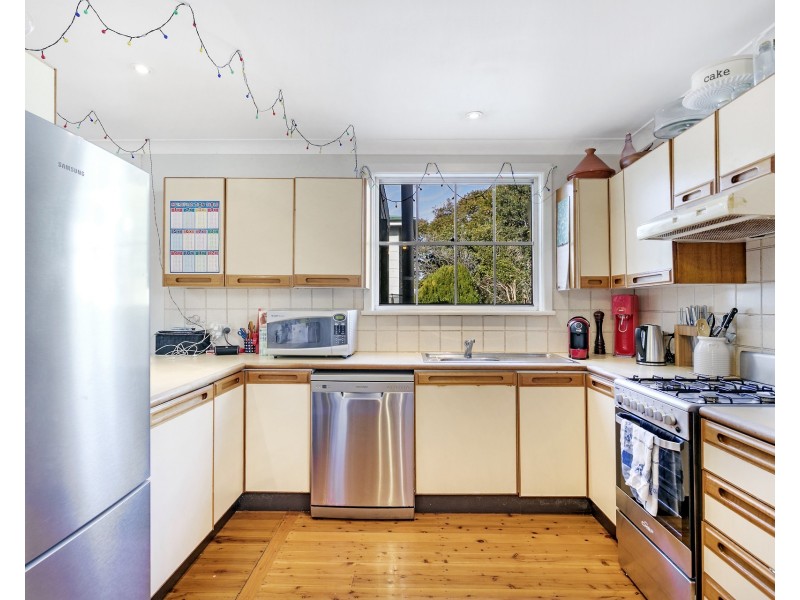 18 Theodore Street, Balmain NSW 2041