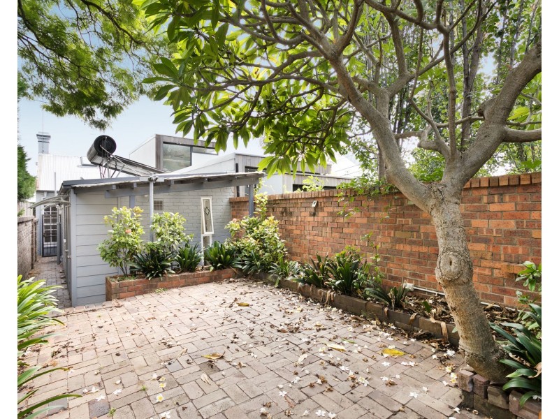 53 Breillat Street, Annandale NSW 2038