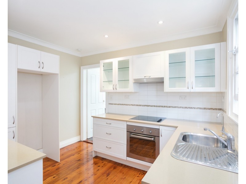 53 Breillat Street, Annandale NSW 2038