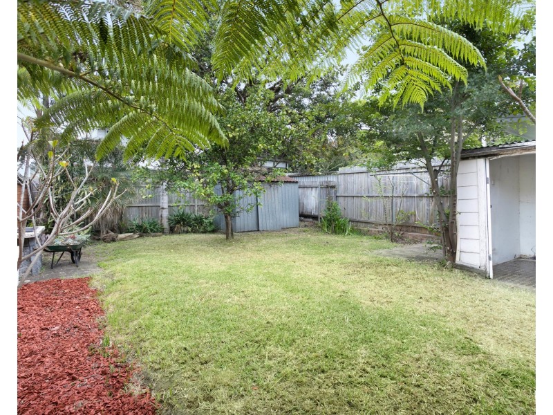 43 Percival Street, Lilyfield NSW 2040