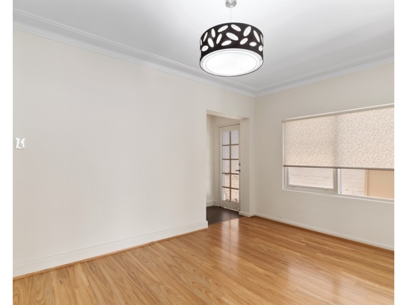 3a Trafalgar Street, Annandale NSW 2038