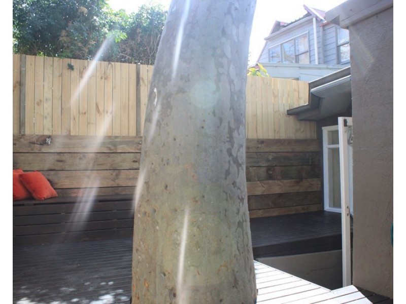 20 Merton Street, Rozelle NSW 2039