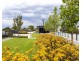 A215/120 Terry Street, Rozelle NSW 2039