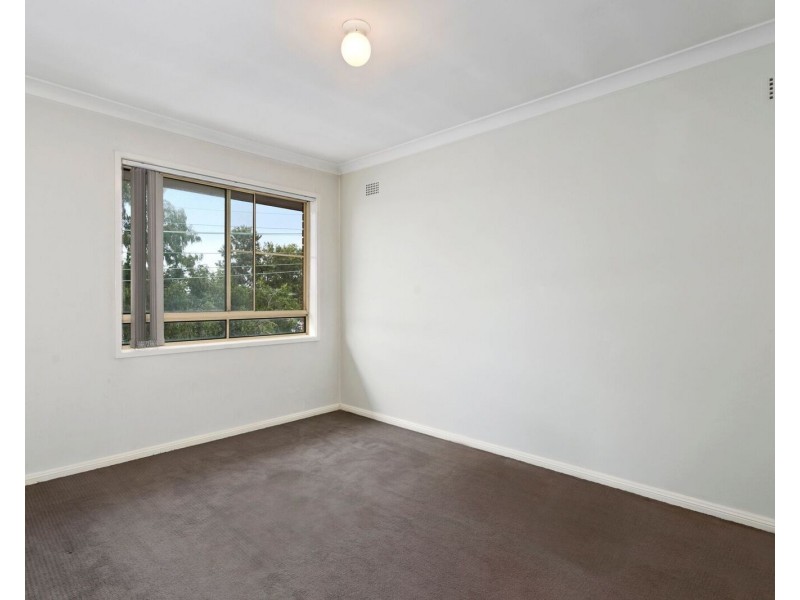 3/8 Burt Street, Rozelle NSW 2039