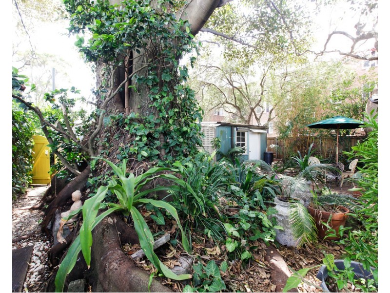 6 Pearson Street, Balmain East NSW 2041