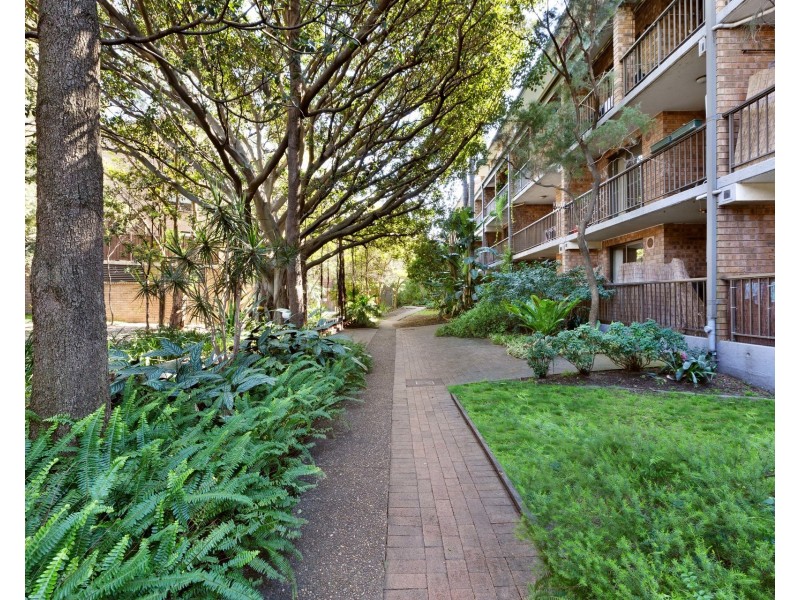 87/313 Harris Street, Pyrmont NSW 2009