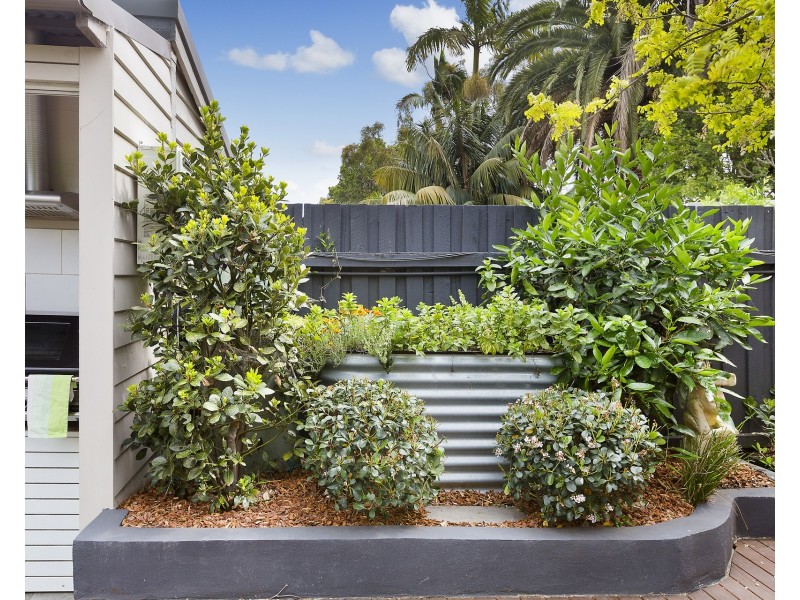 3 Toelle Street, Rozelle NSW 2039