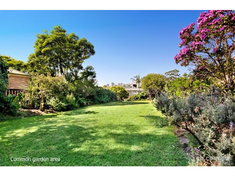 17 Wells Street, Balmain NSW 2041