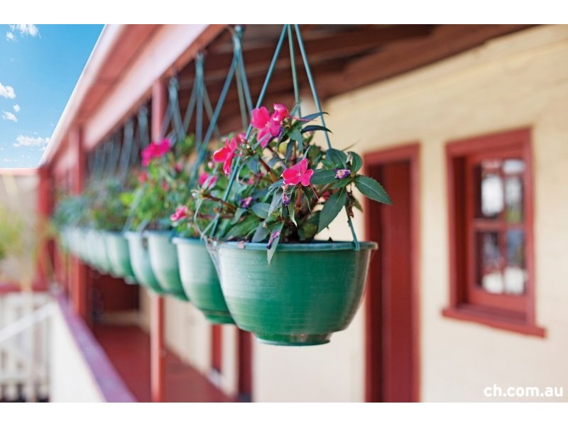 32 Goodsir Street, Rozelle NSW 2039