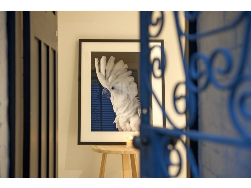 174 Albion Street, Annandale NSW 2038